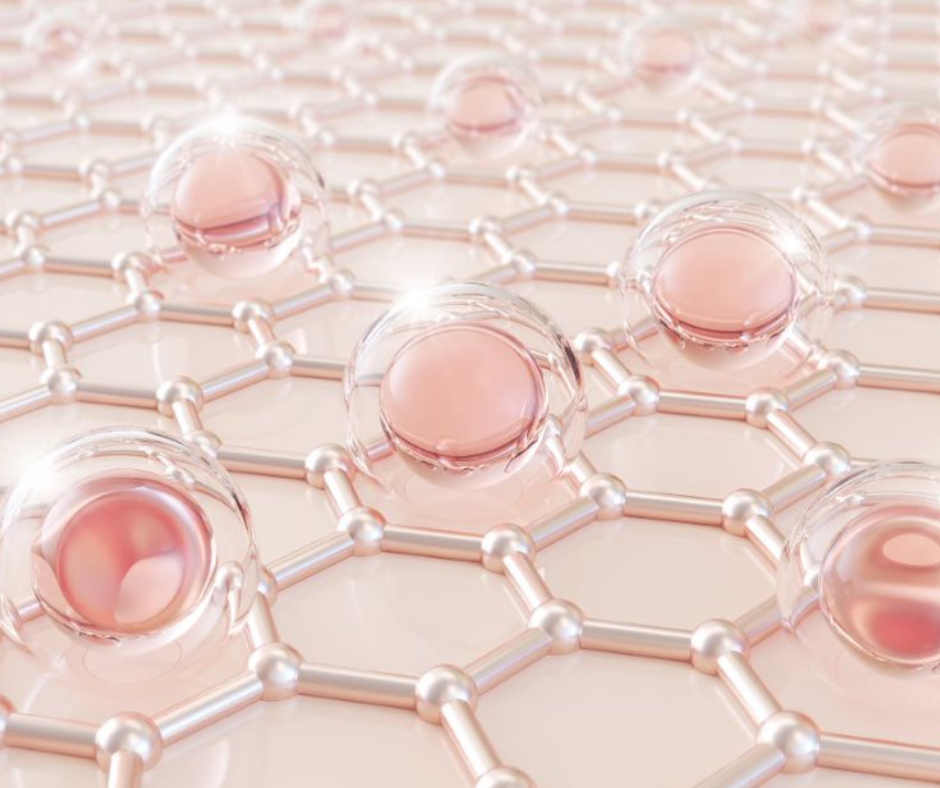 xavia collagen jelly